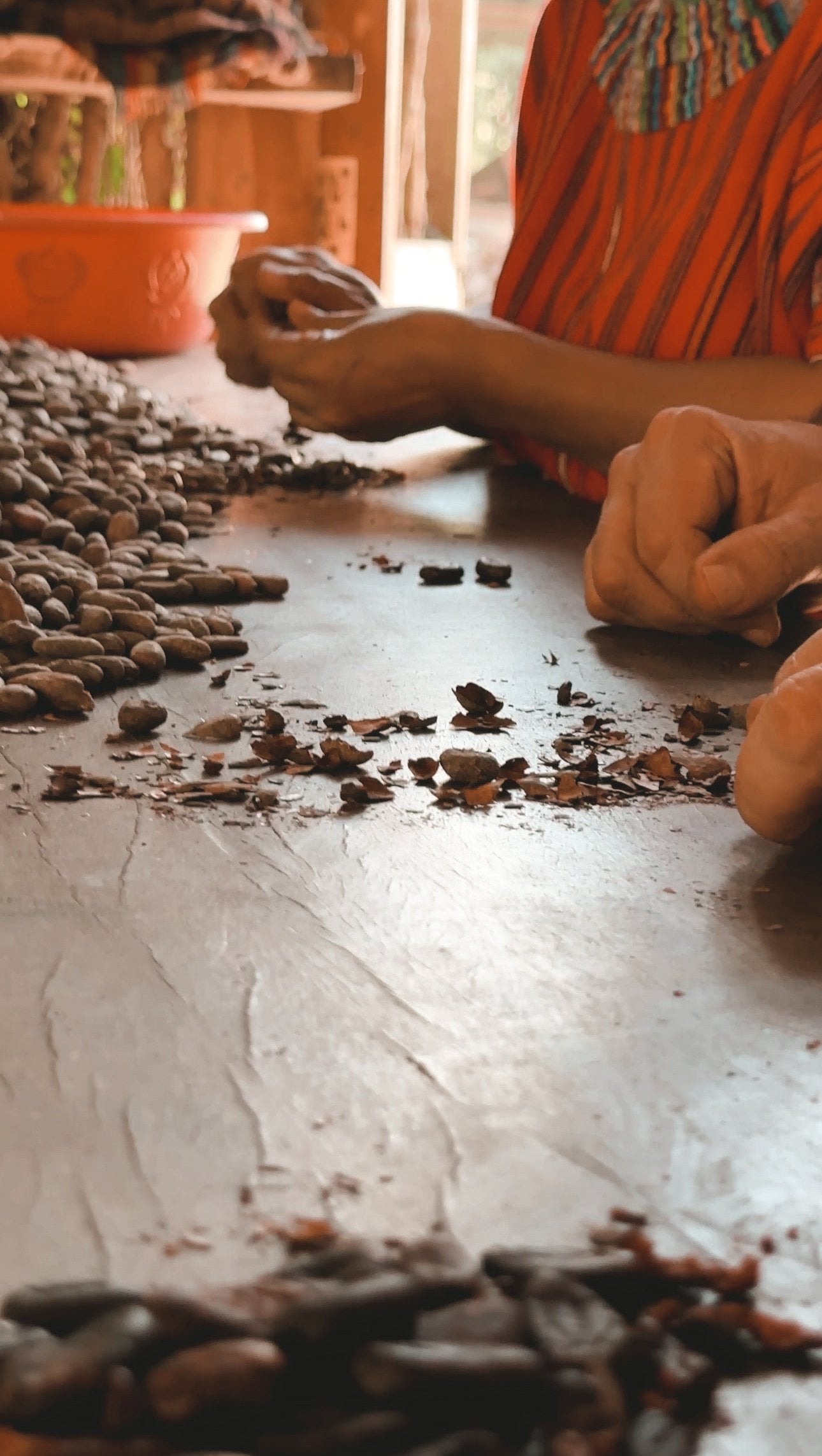 Criollo (Guatemala) Signature Blend