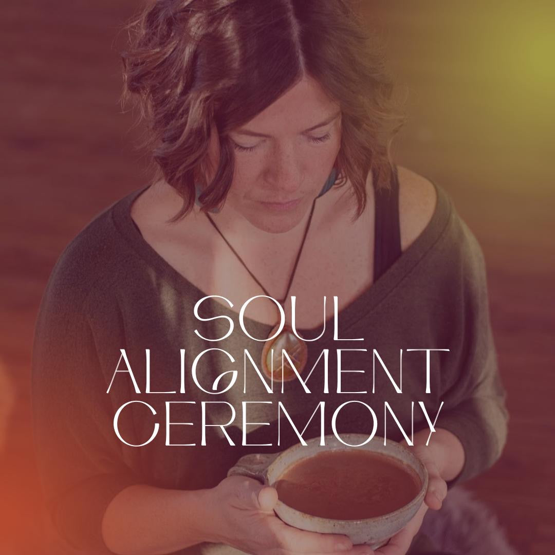 1:1 Soul Alignment Session (90 mins)