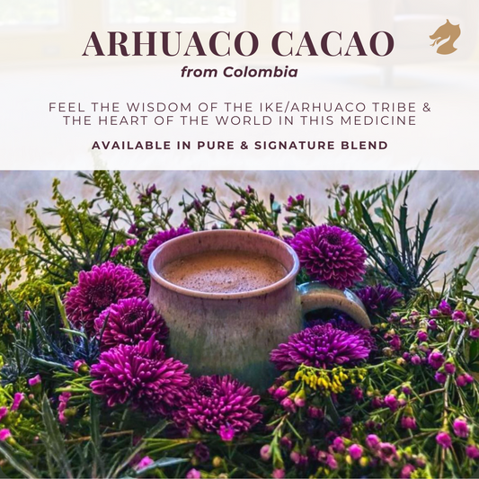 Arhuaco Cacao from Colombia