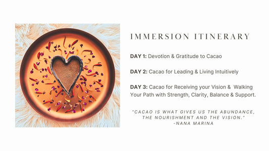 Online Immersion with the Spirit of Cacao